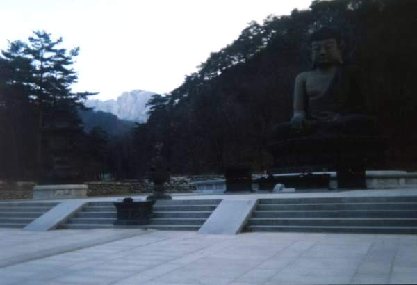 Budhova socha