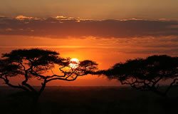 Národný park Serengeti, Tanzánia