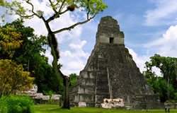 Tikal / Tikali, Guatemala